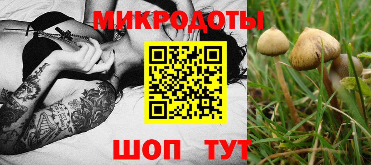 Галлюциногенные грибы Cubensis  Галлюциногенные грибы Magic Shrooms  Грозный  Вход с VPN 