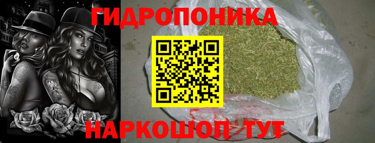 Каннабис Ganja  Вход с VPN  Грозный  Каннабис планчик  Шишки марихуана сатива 